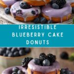 Blueberry Cake Donuts Recipe