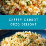 Carrot Orzo Recipe