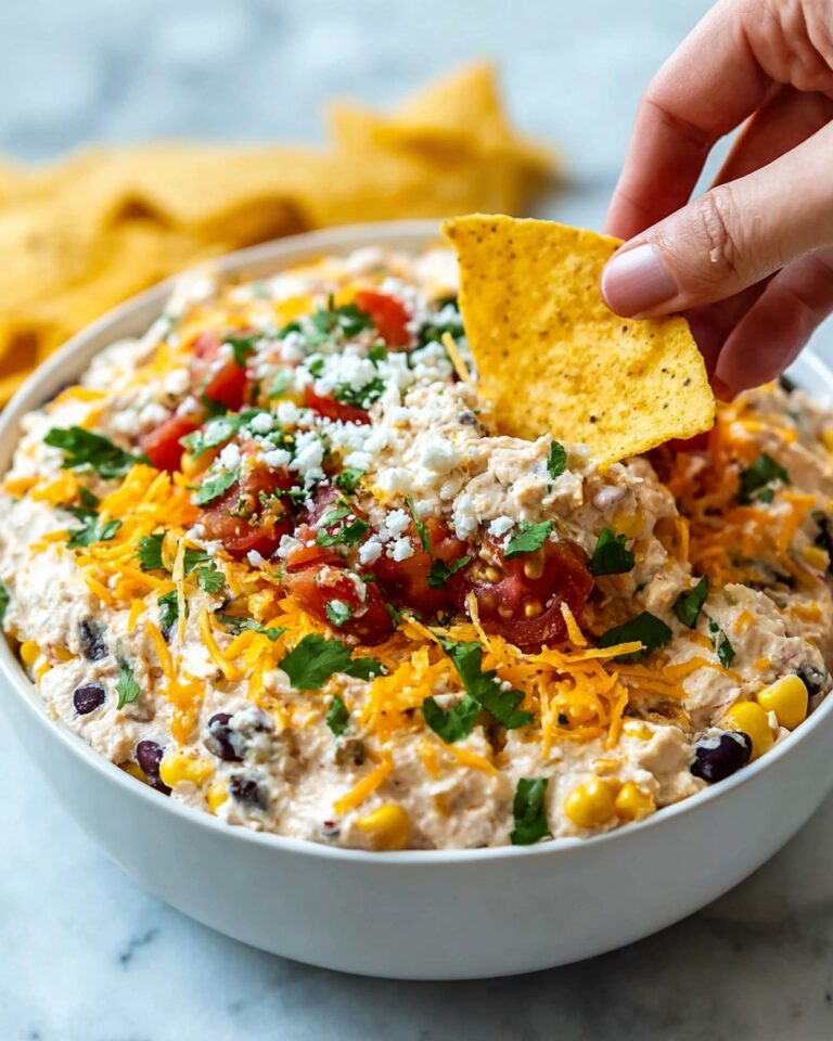 Black Bean Corn Mexican Fiesta Dip Recipe