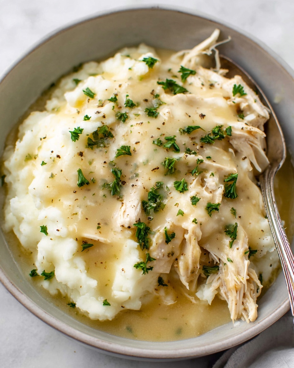 Easy 3-Ingredient Shredded Chicken and Gravy Recipe - Recipe Image