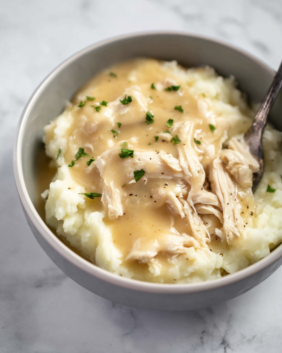 Easy 3-Ingredient Shredded Chicken and Gravy Recipe - Recipe Image