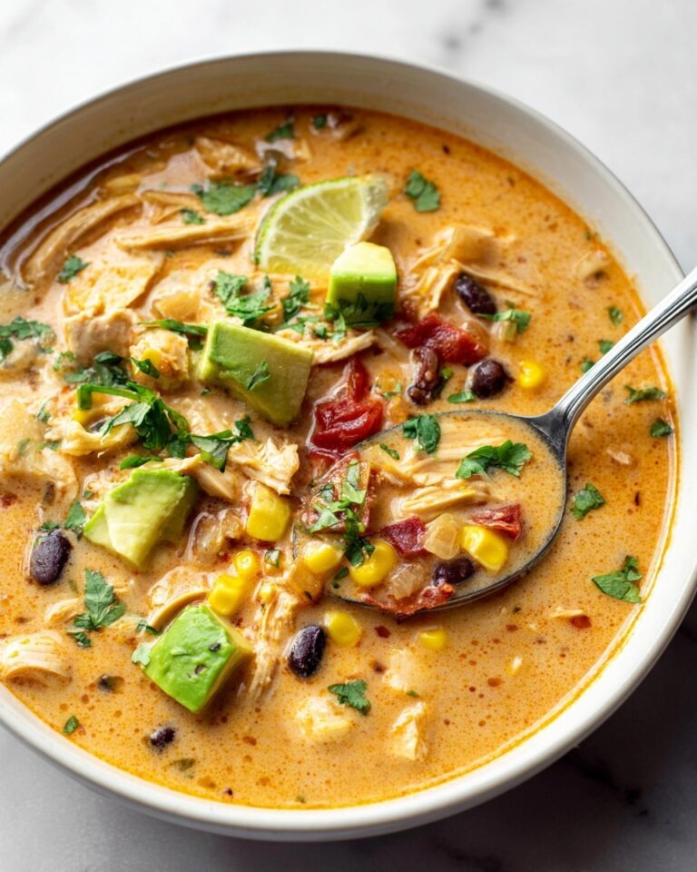 Chicken Enchilada Soup Recipe